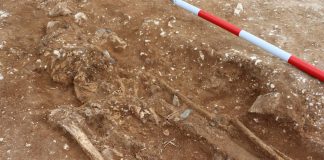 Anglo-Saxon warlord found by detectorists could redraw map of post-Roman Britain (TDnews)
