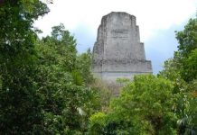 Archaeology: Ancient Maya built sophisticated water filters