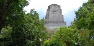 Archaeology: Ancient Maya built sophisticated water filters