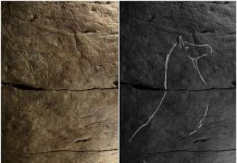 Archaeology: Bison engravings in Spanish caves reveal a common art culture across ancient Europe