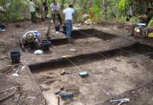 Archaeology: Diet of pre-Columbian societies in the Brazilian Amazon reconstructed