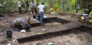 Archaeology: Diet of pre-Columbian societies in the Brazilian Amazon reconstructed