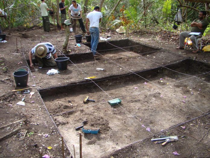 Archaeology: Diet of pre-Columbian societies in the Brazilian Amazon reconstructed