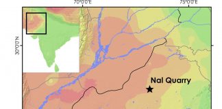 Archaeology: Oldest securely dated evidence for a river flowing through the Thar Desert, Western India
