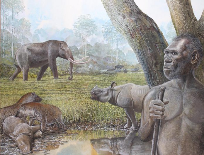 Archaeology: Past tropical forest changes drove megafauna and hominin extinctions