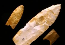 Archaeology: Texas A&M expert: New clues revealed about Clovis people