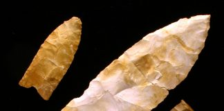 Archaeology: Texas A&M expert: New clues revealed about Clovis people