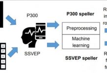 Are brain-computer interface spellers secure? (TDnews)