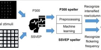 Are brain-computer interface spellers secure? (TDnews)