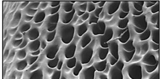 Biology: A hydrogel that could help repair damaged nerves