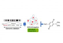 Biology: Advanced prostate cancer has an unexpected weakness that can be targeted by drugs