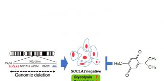 Biology: Advanced prostate cancer has an unexpected weakness that can be targeted by drugs