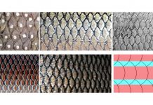 Biology: Aerodynamicists reveal link between fish scales and aircraft drag