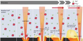 Biology: Coating implants with ‘artificial bone’ to prevent inflammation