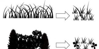 Biology: Echo from the past makes rice paddies a good home for wetland plants