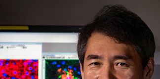 Biology: Enzyme SSH1 impairs disposal of accumulating cellular garbage, leading to brain cell death