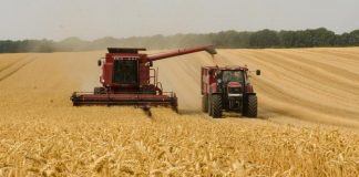 Biology: For when the chips are down — preserving UK soil microbial biodiversity for agriculture