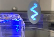 Biology: Gel instrumental in 3D bioprinting biological tissues