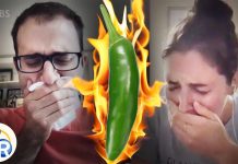 Biology: How to beat spicy pepper heat (hint: milk isn’t the best) (video)