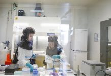 Biology: Hydroxychloroquine does not counter SARS-CoV-2 in hamsters, high dose of favipiravir does