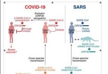 Biology: Identification of a viral factor that impairs immune responses in Coronavirus patients