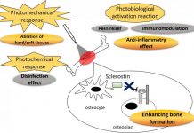 Biology: Light stimulation makes bones heavier