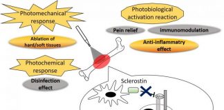 Biology: Light stimulation makes bones heavier