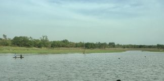 Biology: NYUAD scientists discover immune evasion strategy used by Malaria-causing parasite