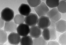 Biology: New NIST project to build nano-thermometers could revolutionize temperature imaging