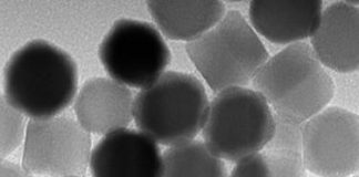 Biology: New NIST project to build nano-thermometers could revolutionize temperature imaging