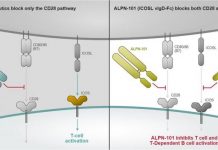 Biology: New biomarker to prevent graft-versus-host disease in stem cell transplants discovered