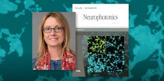 Biology: New editor-in-chief appointed for SPIE journal Neurophotonics
