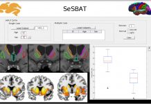 Biology: Presented a program capable of detecting neurodegeneration biomarkers through magnetic