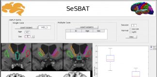 Biology: Presented a program capable of detecting neurodegeneration biomarkers through magnetic