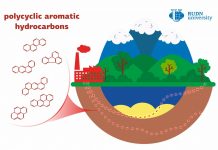 Biology: RUDN University ecologists developed new models to identify environmental pollution sources