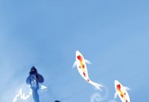 Biology: Robots help to answer age-old question of why fish school