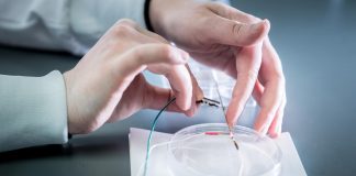 Biology: Researchers find neurochemicals have unexpectedly profound roles in the human brain