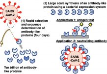 Biology: Setting a TRAP for pandemic-causing viruses