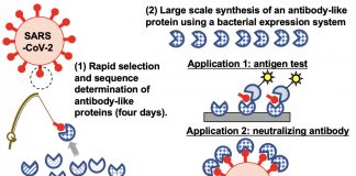 Biology: Setting a TRAP for pandemic-causing viruses