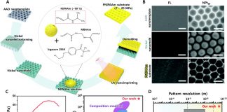 Biology: Stem cell sheets harvested in just two days