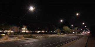 Biology: Streetlights contribute less to nighttime light emissions in cities than expected