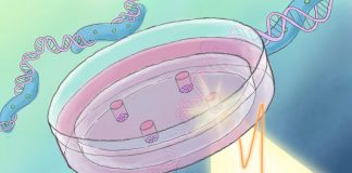 Biology: Terahertz zaps alter gene activity in stem cells