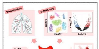 Biology: The world’s first successful identification and characterization of in vivo senescent cells