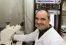 Biology: Understanding the progress of viral infections