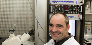 Biology: Understanding the progress of viral infections