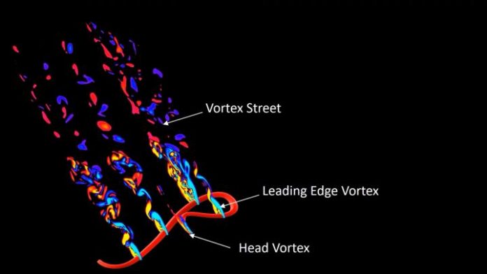 Biology: Virginia Tech researchers still have much to learn from