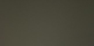 Birds risk starvation trying to “keep pace” with climate change (TDnews)