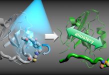 Breaking the coupling process | Science News (TDnews)