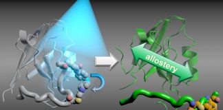 Breaking the coupling process | Science News (TDnews)