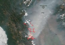 California’s August Complex largest fire in state’s history (TDnews)